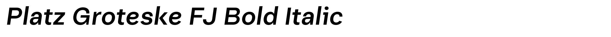 Platz Groteske FJ Bold Italic image